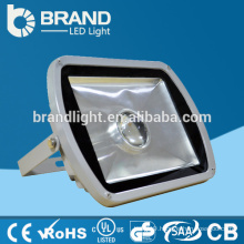 China Factory Supplier Good Quality 50W Outside Lighting